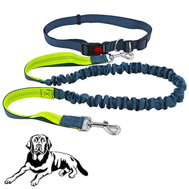 Senven®Guinzaglio a Mani Libere, Guinzaglio Per Cane Retrattile, Cintura Regolabile + Maniglia Per Camminare Bungee Cinturino Per Cani, Cinghia Riflettente, Corsa, Camminata (Grigio Verde e Grigio)