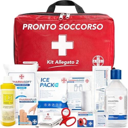 AIESI® Cassetta medica di pronto soccorso (Borsa) con ALLEGATO 2 per aziende meno 3 dipendenti, Conforme DM388/DL81, Made in Italy