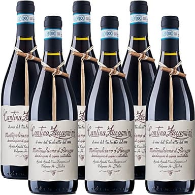 Montepulciano d'Abruzzo Doc | Cantina Zaccagnini | Vino Rosso Abruzzese | 6 Bottiglie da 75 Cl | Idea Regalo