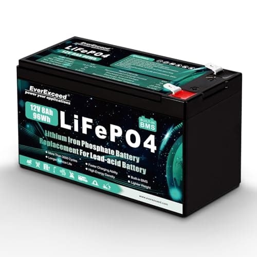 EverExceed Batteria Lifepo4 Ricaricabile da 12V 8Ah, Batteria 12V con BMS Incorporato, Batteria litio da 3000+ Cicli per Cercatore di Pesci, Tosaerba, Sistema di Allarme Antifurto,Pannello Solare