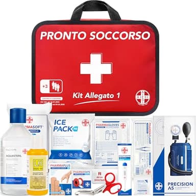 AIESI® Cassetta medica di pronto soccorso (Borsa) con ALLEGATO 1 per aziende più 3 dipendenti, Conforme DM388/DL81, Made in Italy