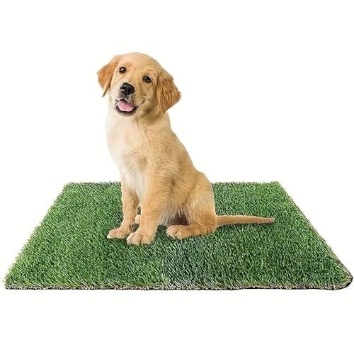 PratoErboso GreenZolla - L' Originale Lettiera per Cani in Erba Vera Naturale, Traversina 100% Naturale, Cuccia per Gatti in Vero Prato, Zona Gioco e Relax per Animali Misura Maxi
